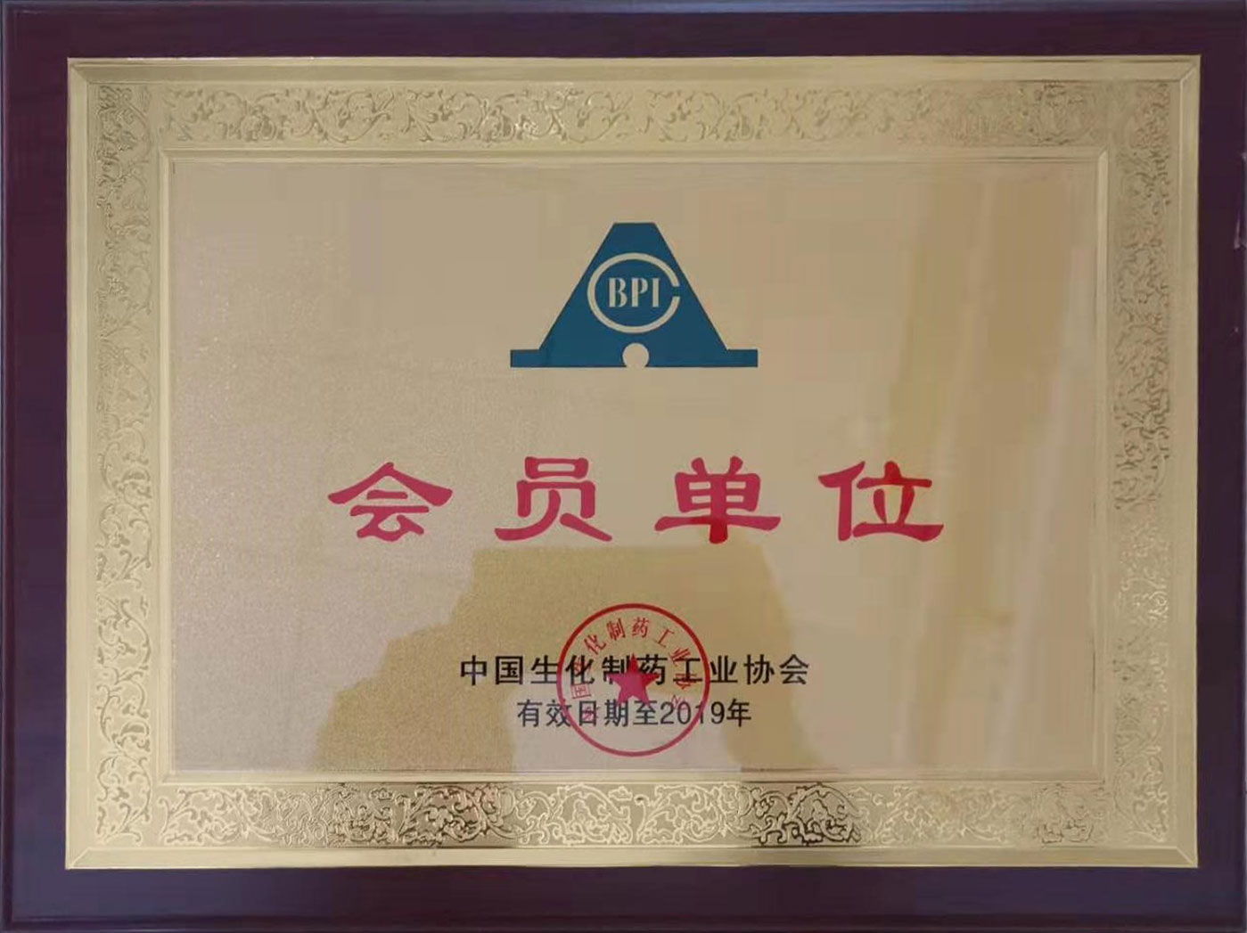 Member of China Biochemical Pharmaceutical Industry Association 