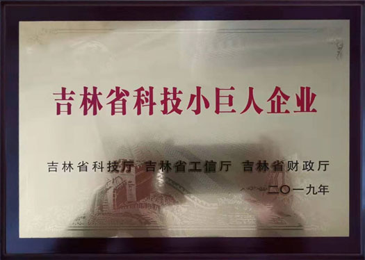 Jilin Province Science and Technology Little Giant Enterprise Accreditation Certificate